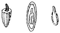 HPN060AD.TIF