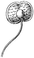 HPN059CW.TIF