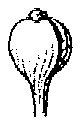 HPN059CV.TIF