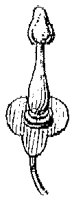 HPN059CN.TIF