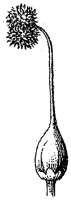 HPN059CL.TIF