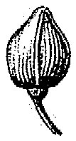 HPN059CI.TIF