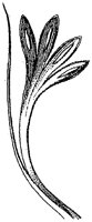 HPN059CC.TIF