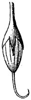 HPN059CB.TIF