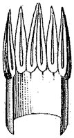 HPN059CA.TIF