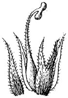 HPN059BQ.TIF
