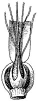 HPN059BL.TIF