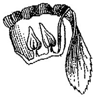 HPN059BC.TIF