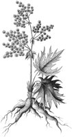 HPN059BA.TIF