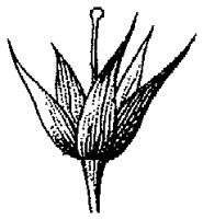 HPN059AZ.TIF