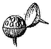 HPN059AY.TIF