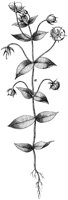 HPN059AR.TIF