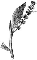 HPN059AG.TIF