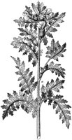 HPN059AE.TIF
