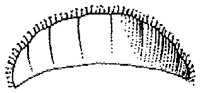 HPN059AA.TIF