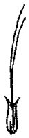 HPN058BZ.TIF