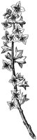 HPN058BT.TIF