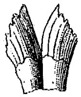 HPN058BQ.TIF