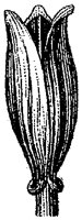 HPN058BM.TIF