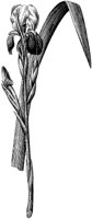 HPN058BL.TIF
