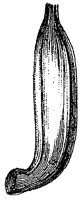 HPN058BK.TIF