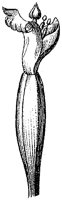 HPN058AZ.TIF