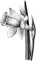 HPN058AH.TIF