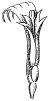 HPN058AG.TIF