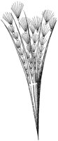 HPN067CG.TIF