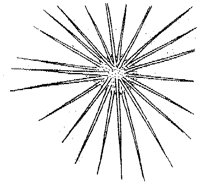 HPN067CF.TIF