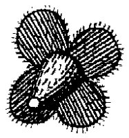 HPN067BM.TIF