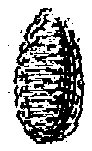 HPN067BJ.TIF