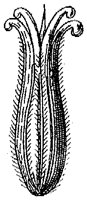 HPN067AK.TIF