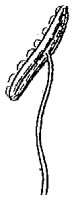 HPN067AJ.TIF