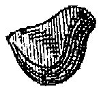 HPN067AI.TIF