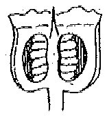 HPN067AH.TIF