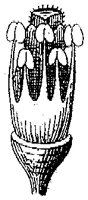 HPN067AD.TIF