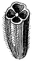 HPN067AC.TIF