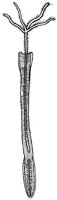 HPN067AB.TIF