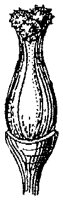 HPN067AA.TIF