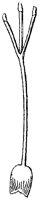 HPN066CC.TIF
