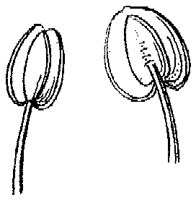 HPN066BZ.TIF