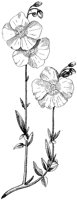 HPN066BV.TIF