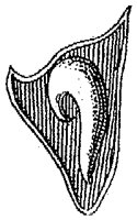 HPN066BQ.TIF