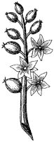 HPN066BO.TIF