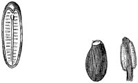 HPN066BE.TIF