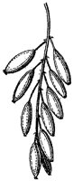 HPN066AY.TIF