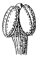 HPN066AT.TIF