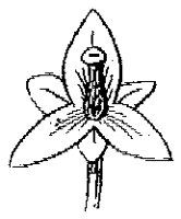 HPN066AH.TIF