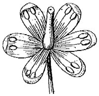 HPN066AG.TIF
